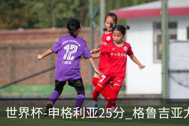 世界杯-申格利亚25分 格鲁吉亚力克委内瑞拉