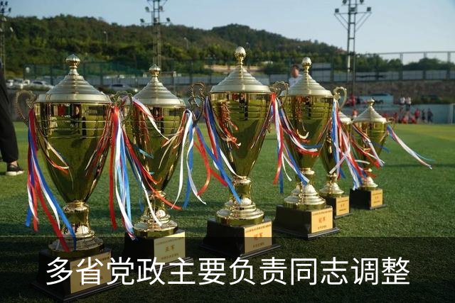 多省党政主要负责同志调整