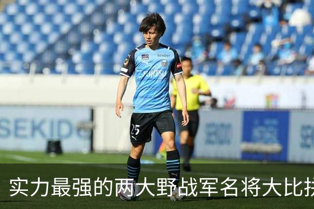 实力最强的两大野战军名将大比拼，到底谁更胜一筹？