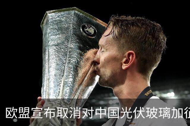 欧盟宣布取消对中国光伏玻璃加征关税，本土企业已全部倒闭，没保护必要了