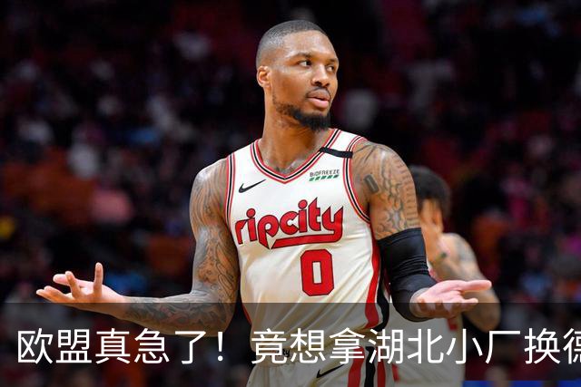 欧盟真急了！竟想拿湖北小厂换德国12人作坊，阿斯麦供应链要断了