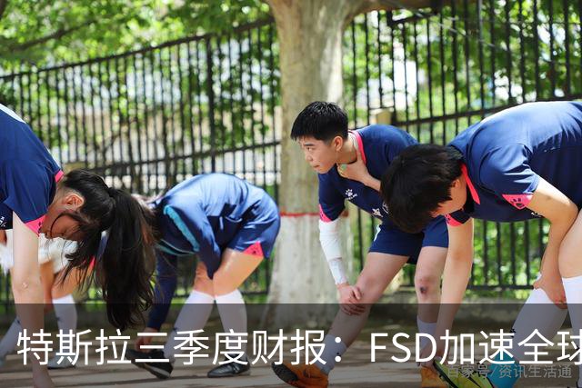 特斯拉三季度财报：FSD加速全球落地，中国市场仍待突破