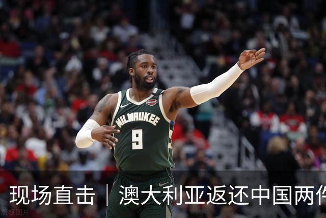 现场直击｜澳大利亚返还中国两件流失文物