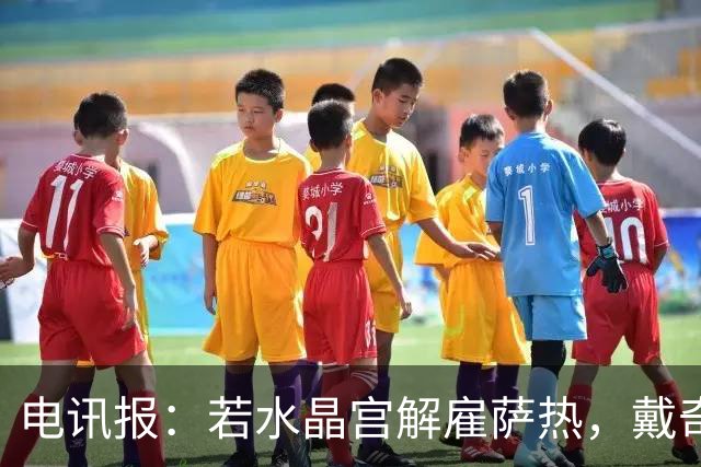 电讯报：若水晶宫解雇萨热，戴奇是接任热门人选
