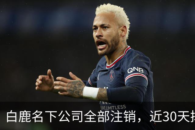 白鹿名下公司全部注销，近30天掉粉超144万，独立运营过渡期引关注