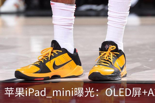 苹果iPad mini曝光：OLED屏+A20芯，售价或涨至799美元