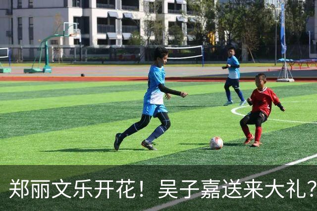 郑丽文乐开花！吴子嘉送来大礼？最新民调再次反转，蓝营1地稳了