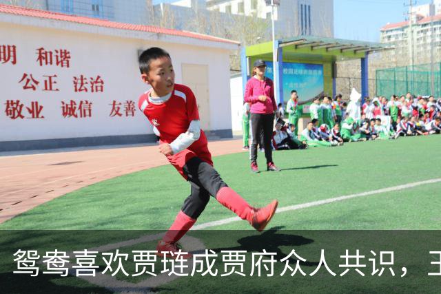 鸳鸯喜欢贾琏成贾府众人共识，王熙凤、贾母和琥珀都明说出来！